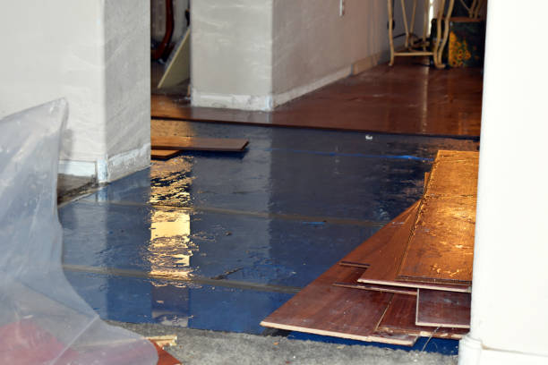Professional Burst Pipe Cleanup technician working in Fingal, ND
