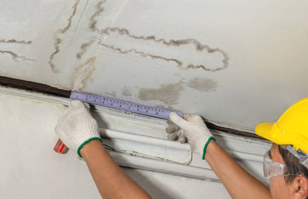 Reliable Burst Pipe Cleanup contractor in Fingal, ND by Local Water Damage Repair